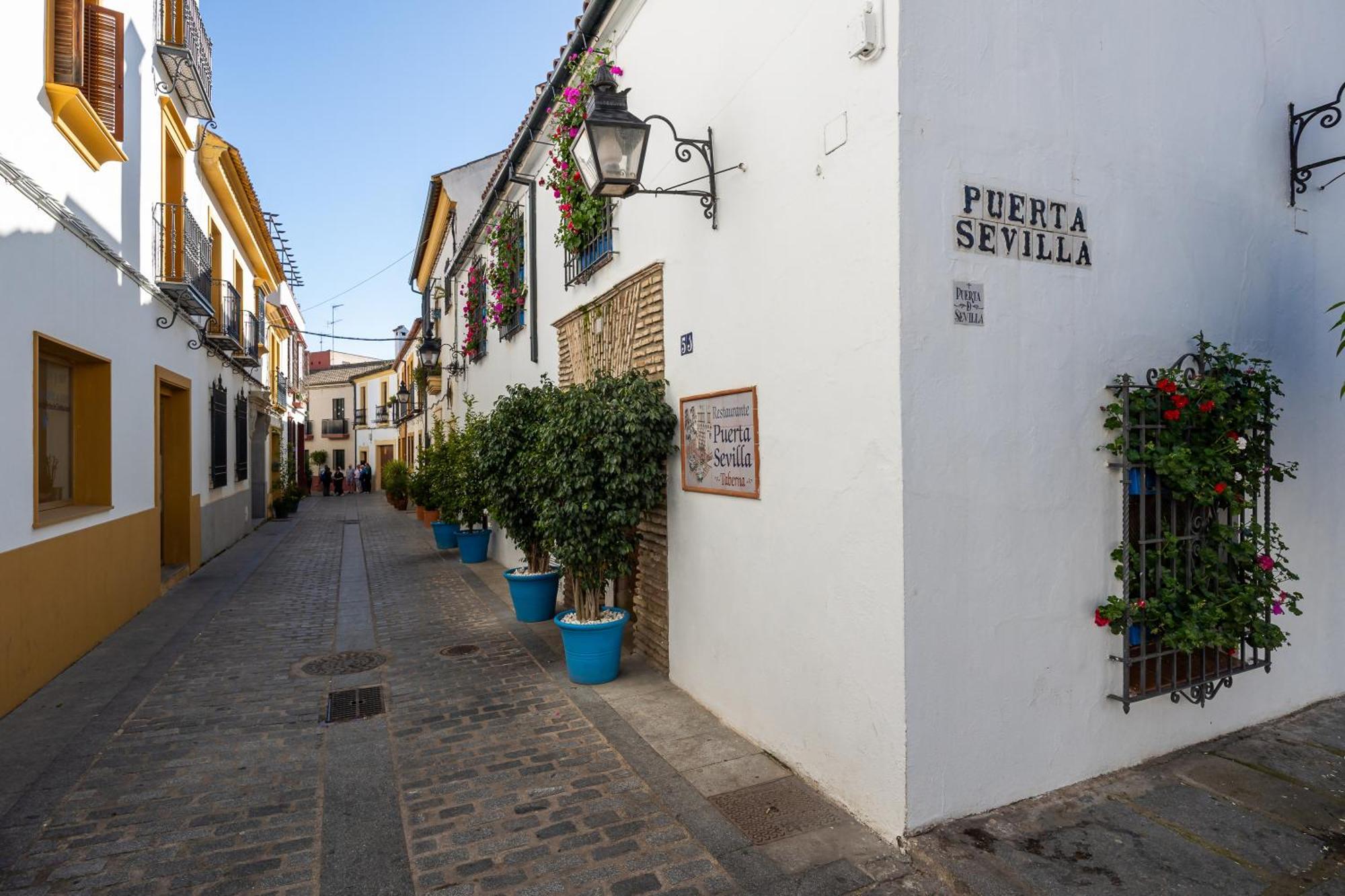 Las Flores De San Basilio Córdoba Buitenkant foto